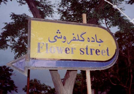 flower_street